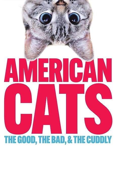 American Cats: The Good, the Bad, and the Cuddly